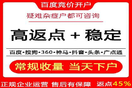 推广竞价策略优化：借鉴成功案例实现高效转化